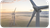 Wind farms and solar panels